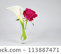 Roses and Calla Lilies 113887471