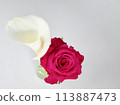 Roses and Calla lilies close together 3 113887473