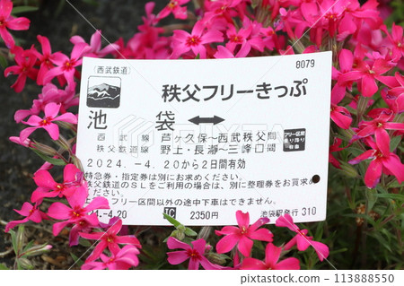 秩父免費票(羊山公園芝櫻之丘) 秩父免費票(羊山公園芝櫻之丘) 113888550