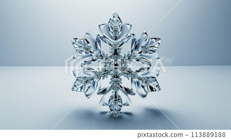 Natural Christmas snowflake on white background 113889188
