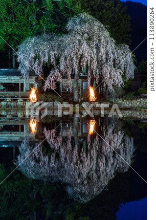 Torches and a leaflet about the weeping cherry blossoms at Aoya Shinmei Shrine 113890264