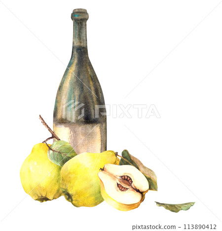 Quince fruit with bottle of wine, ripe yellow whole and cut fruit. Fruit liquor, wine, schnapps, juice, alcohol drink label, sticker print Watercolor hand drawn illustration Isolated white background. 113890412