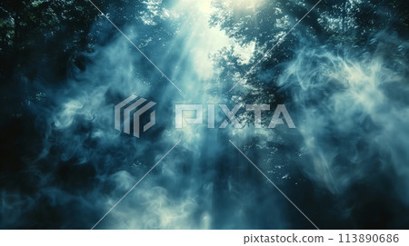 Frightening Scene Eerie Forest in Dim Light 113890686
