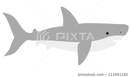 Cute shark vector illustration. Shark, icon, ocean, aquarium, fish Cute shark vector illustration. Shark, icon, ocean, aquarium, fish 113891260