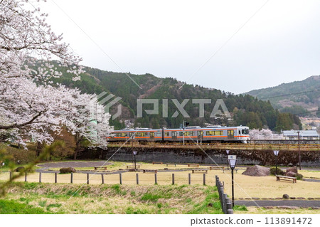 臥龍櫻線、高山線 臥龍櫻線、高山線 113891472