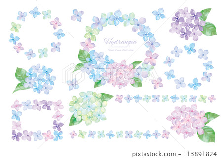 Watercolor hydrangea frame material set 113891824