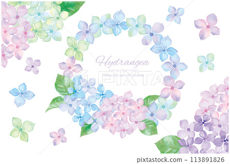 繡球花框架材質畫水彩 113891826