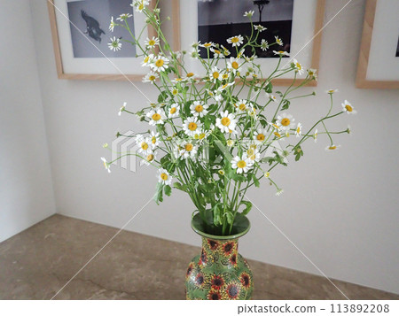 Vase with Matricaria 113892208