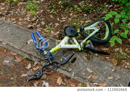 Illegally dumped bicycle Illegally dumped bicycle 113892668