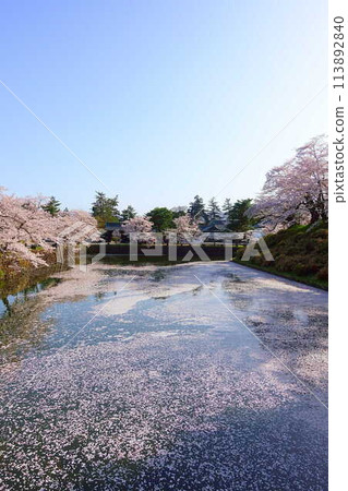 櫻花盛開,花筏,松崎公園,櫻花,櫻花,染井吉野櫻花樹 櫻花盛開,花筏,松崎公園,櫻花,櫻花,染井吉野櫻花樹 113892840