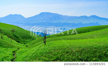 A magnificent view of Mount Aso and the Milk Road against the backdrop of warm spring sunlight. A magnificent view of Mount Aso and the Milk Road against the backdrop of warm spring sunlight. 113893201