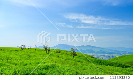 A magnificent view of Mount Aso and the Milk Road against the backdrop of warm spring sunlight. 113893280