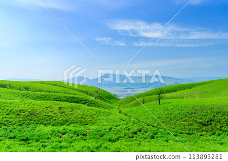 A magnificent view of Mount Aso and the Milk Road against the backdrop of warm spring sunlight. 113893281