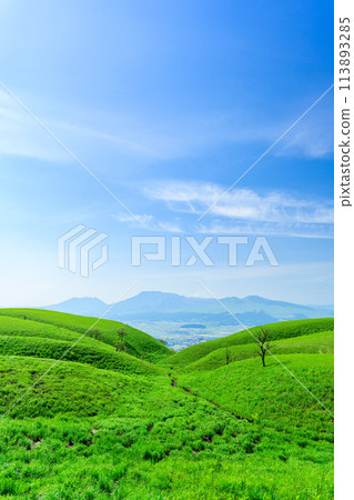 以春天明媚的陽光為背景，從阿蘇山和牛奶路看到的壯麗景色 113893285