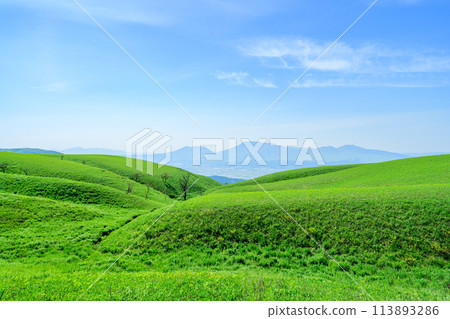 以春天明媚的陽光為背景，從阿蘇山和牛奶路看到的壯麗景色 113893286