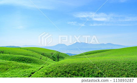 以春天明媚的陽光為背景,從阿蘇山和牛奶路看到的壯麗景色 以春天明媚的陽光為背景,從阿蘇山和牛奶路看到的壯麗景色 113893287