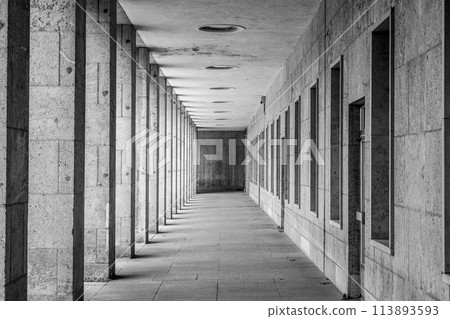 A vanishing perspective view of a modern arcade with evenly spaced columns and ceiling lights. Black and white image. 113893593