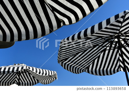 藍天和傘 藍天和傘 113893658