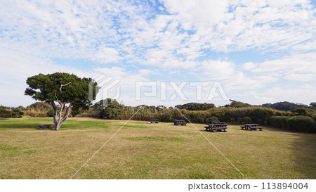 夏天的荒崎海岸、神奈川縣橫須賀市、湘南三浦半島 113894004