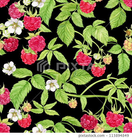 Raspberry branches on a black background. Watercolor seamless background with summer red berries. Illustration for spring cover, summer textile, wedding invitation. Red berries, flowers, leaves. Raspberry branches on a black background. Watercolor seamless background with summer red berries. Illustration for spring cover, summer textile, wedding invitation. Red berries, flowers, leaves. 113894849