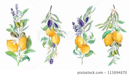 Lemon and olive branches on a white background 113894870