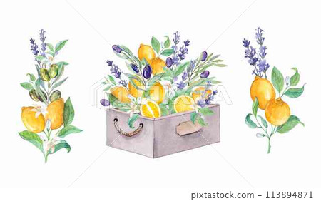 Lemons olives and lavender on a white background 113894871