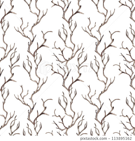 Dry branches without leaves watercolor seamless pattern isolated on white. Autumn winter illustration, woodland forest environment design. Botanical art with snag of wood. For package, textile, paper 113895162