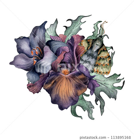 Watercolor black flowers and moth isolated on white. Gothic floral Illustration hand drawn. Botanical art with dark lily, purple iris, leaves. wedding decoration, invitation, backdrop, card, printing Watercolor black flowers and moth isolated on white. Gothic floral Illustration hand drawn. Botanical art with dark lily, purple iris, leaves. wedding decoration, invitation, backdrop, card, printing 113895168