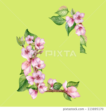Watercolor frame with pink flowers of fruit tree isolated on green. Design template of floral frame with blossom branch hand drawn. Element for wedding invitation, card, packaging, label product 113895170