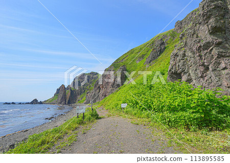 Agate Beach Agate Beach 113895585