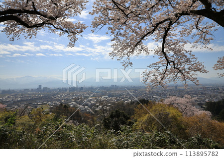View of the Sakura Hiroba Observatory at Kurehayama Park (Toyama City, Toyama Prefecture / April) View of the Sakura Hiroba Observatory at Kurehayama Park (Toyama City, Toyama Prefecture / April) 113895782