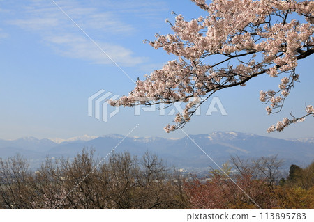 View of the Sakura Hiroba Observatory at Kurehayama Park (Toyama City, Toyama Prefecture / April) View of the Sakura Hiroba Observatory at Kurehayama Park (Toyama City, Toyama Prefecture / April) 113895783