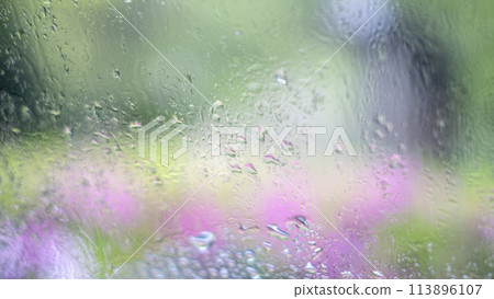 Rain image Rain image 113896107