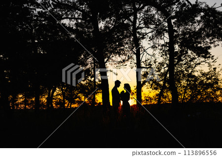 Couple standing in woods at sunset 113896556