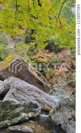 山谷岸邊可見秋葉和水流 113897164