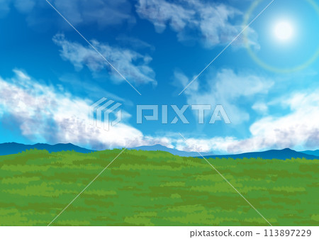 清爽的草甸和藍天陽光的背景 113897229