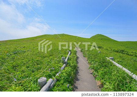 Momoiwa Observation Deck Course 113897324