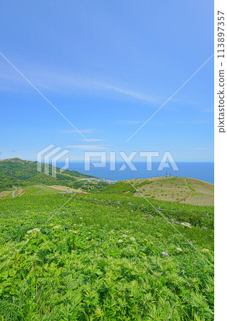 Momoiwa Observation Deck Course Momoiwa Observation Deck Course 113897357