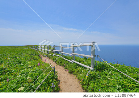 Momoiwa Observation Deck Course Momoiwa Observation Deck Course 113897464