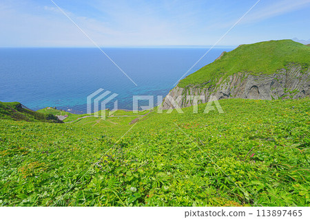 Momoiwa Observation Deck Course 113897465