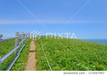 桃岩展望台路線 桃岩展望台路線 113897467