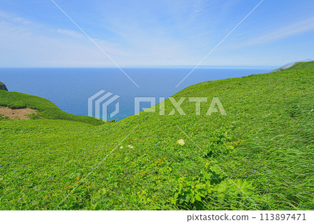 桃岩展望台路線 桃岩展望台路線 113897471