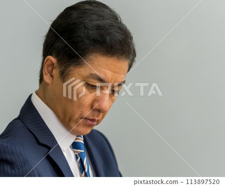 開會的商務人士：商務場景 113897520