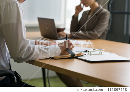 Business people having a meeting: business scene 113897558