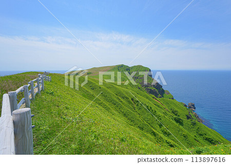 桃岩展望台路線 桃岩展望台路線 113897616