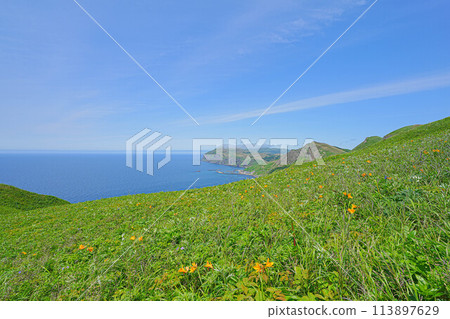 Momoiwa Observation Deck Course Momoiwa Observation Deck Course 113897629
