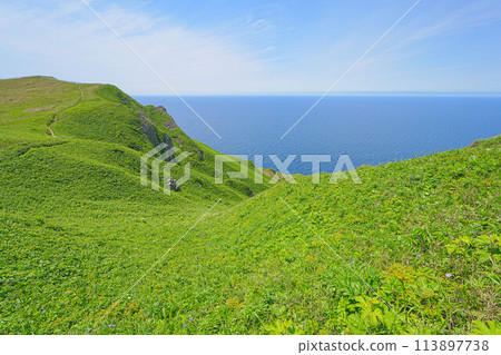 桃岩展望台路線 桃岩展望台路線 113897738