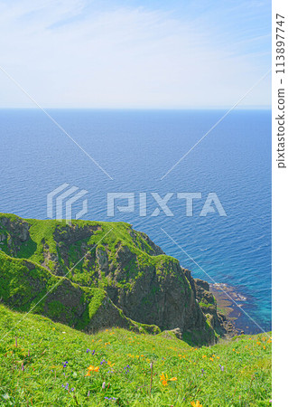 桃岩展望台路線 113897747