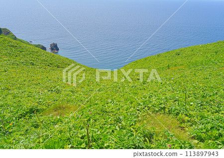 桃岩展望台路線 桃岩展望台路線 113897943