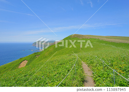 桃岩展望台路線 桃岩展望台路線 113897945